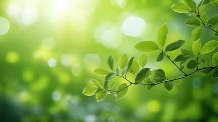 Fototapeta na wymiar Green leaf for nature on blurred background with beautiful bokeh. Generative ai