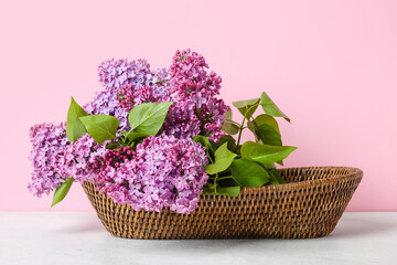 Basket with beautiful lilac flowers on table against pink background