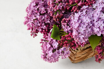 Basket with fresh lilac flowers on light background, closeup