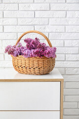 Fototapeta na wymiar Basket with beautiful lilac flowers on chest of drawers near light brick wall