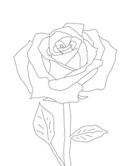 rose drawing generative ai