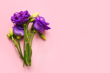 Eustoma flowers on pink background