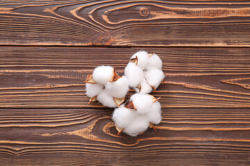 Fototapeta na wymiar Cotton flowers on brown wooden background