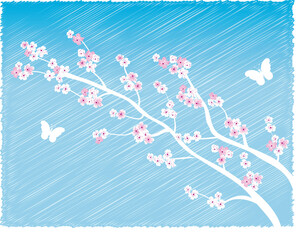 Cherry tree and butterfly background