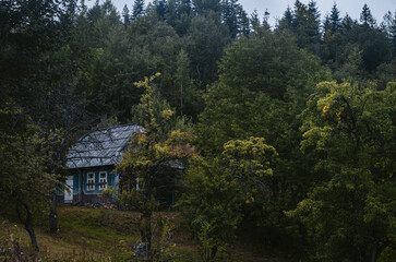 Fototapeta na wymiar house in forest