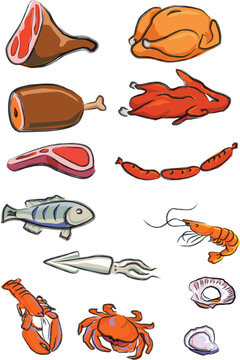 a vector illustration for a variety of meats, chicken, duck, pork, beef, lamp chop, hot-dog, fish, squire, lobster, crab, prawn, oyster, scallop