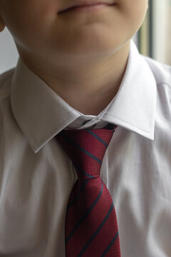 cropped image of little boy in white shirt and tie