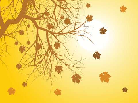 Seasonal background with tree branches and falling autmn leaves
