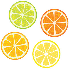 Obraz premium Vector illustration of Slices of citrus fruits: Orange, red grapefruit, lemon and lime. Great for making patterns