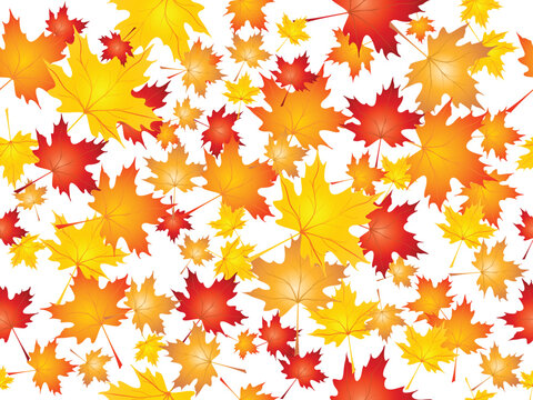 Background of falling Maple leaves