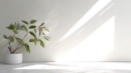 Minimalistic White Background with Shadow and Light