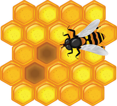 a glossy vector illustration of golden honeycomb with bee