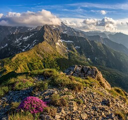 View on mountainous landscape on beautiful spring day with vivid pink flowers among rocks and fresh...