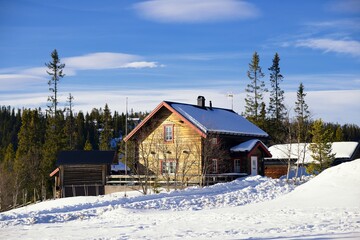 Wooden chalets among snow covered trees, Storhogna, Sweden