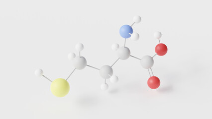 homocysteine molecule 3d, molecular structure, ball and stick model, structural chemical formula α-amino acid