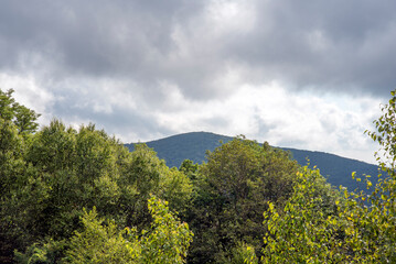 Fototapeta premium clouds in the mountains