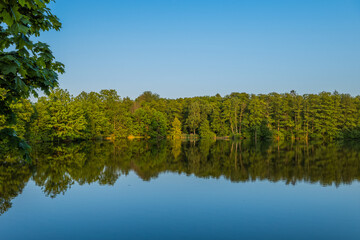 The lush green forest and blue sky are reflected in the lake on a sunny day. High quality photo