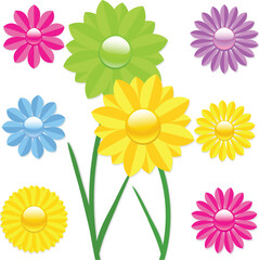 Vector illustration of brightly coloured daisy flowers with reflections and shadows
