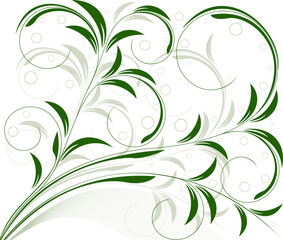 FLoral  vector background