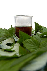 Summer raspberry tea in green cup. Herbal tea served with fresh raspberry leaves