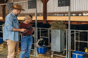 A woman and a man are looking at the cute calf during health check.