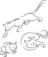 a vector illustration sketching for a variety view for cats, pet.