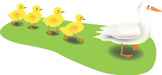 vector illustration for a mother duck bring along her for ducky as a row, fun and cute