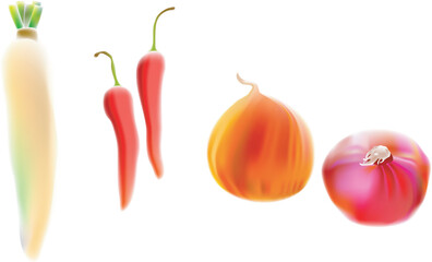 illustration, vector for a variety of vegetables, radish, chili, onion