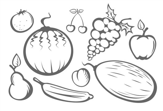 The stylized apple, peach, orange, pear, water-melon, melon, plum, cherry and grape stylized on a white background.