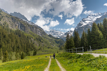 Fototapeta na wymiar Sommer in den Alpen mit Wiesen und Wasserfällen