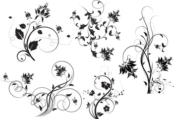 Floral illustration. Can be used for design.