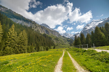 Fototapeta premium Sommer in den Alpen mit Wiesen, Wasserfällen und Gletschern