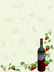 Part of my wine collection.  Please check my portfolio for more in the series.
