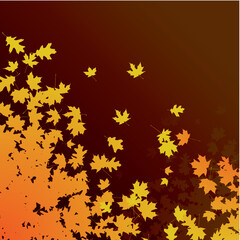 vector image of autumn leaves