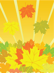 autumn vector background