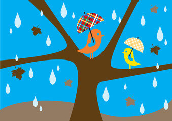 lovebirds sitting on tree in rainfall with umbrella