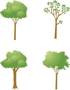 Collection of Vector Green Trees
