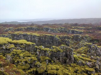 Fototapeta na wymiar Many Rocks with moss in Iceland with fog 