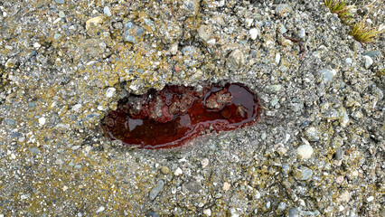 bloody footprints on stones