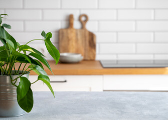 Wooden blue table top with flower pot against blurred white kitchen with cutting board in scandinavian style