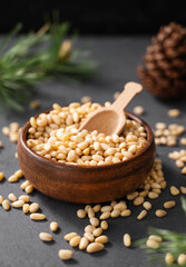 Pine nuts in a bowl with a scoop on a gray background with a branch of pine needles close up.