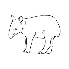 Tapir animal sketch engraving vector illustration. Scratch board style imitation. Hand drawn image.