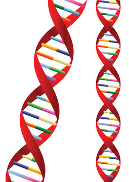 DNA helix representation isolated over white background