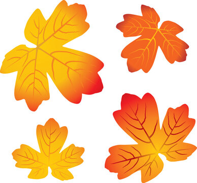 red and yellow autumn leaves - vector illustration