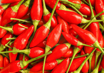 Small red hot chili pepper close up