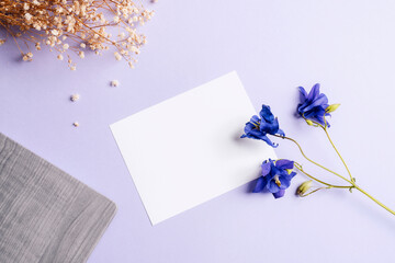 Blank card, notepad and blue Aquilegia Alpina flowers on purple table. Top view, flat lay, mockup