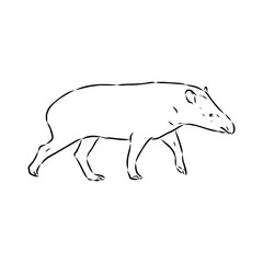 Tapir animal sketch engraving vector illustration. Scratch board style imitation. Hand drawn image.