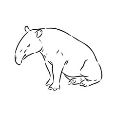 Tapir animal sketch engraving vector illustration. Scratch board style imitation. Hand drawn image.