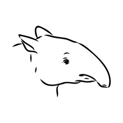 Tapir animal sketch engraving vector illustration. Scratch board style imitation. Hand drawn image.