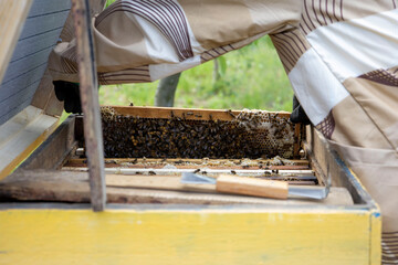 The beekeeper lays frames with honeycombs